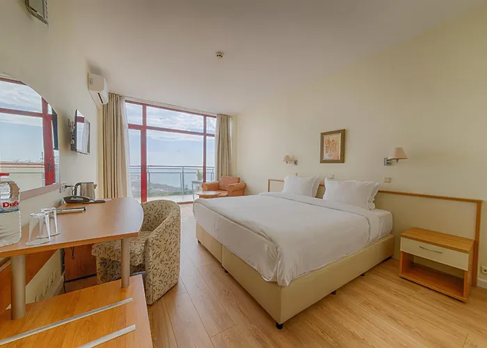 Stayflex By Helios 金沙